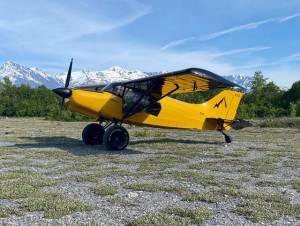 NEW 1978 Maule M-5-235C