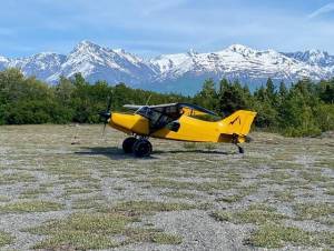 NEW 1978 Maule M-5-235C