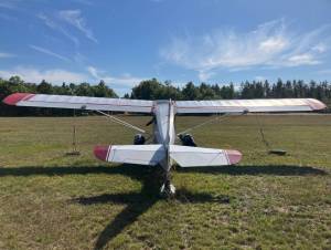 1966 Champion 7GCBC