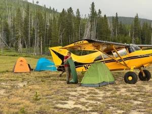 2000 Maule M-7-260C Orion